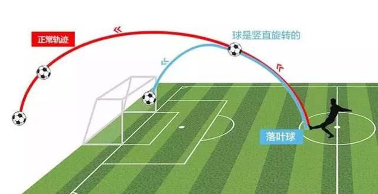 画五种运动方式的轨迹图片