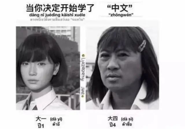 老外用梗图吐槽学中文，像极了学英语的我们，网友：终于报仇了