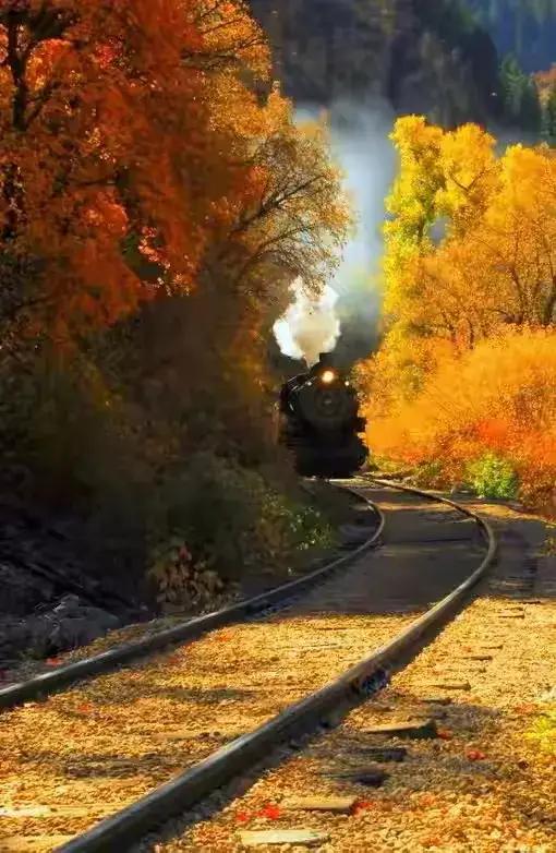 黄金分割构图摄影黄金分割线构图