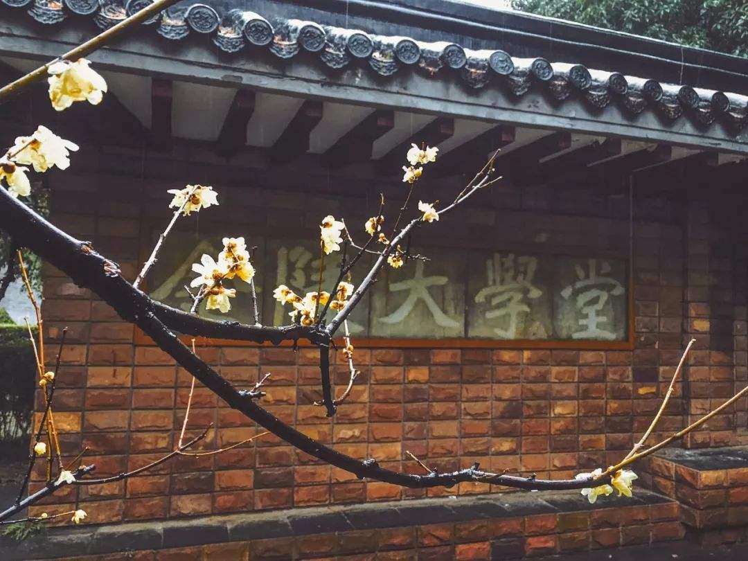 南京大学校草蒲熠星，曾是奥数一等奖，雅思7分，高考却被质疑