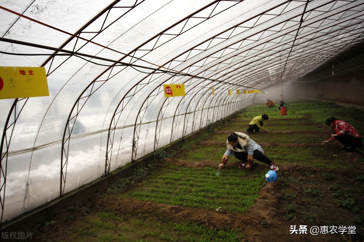 承包地延期30年，确权证书还有用吗？确权证多出来的土地归谁？