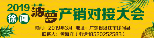 徐闻菠萝产销对接会火热进行！现场签约采购1.84亿斤