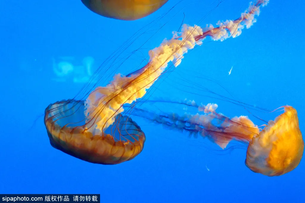 好消息!周末北京这些好玩好看的地方,半价!免费!只要……