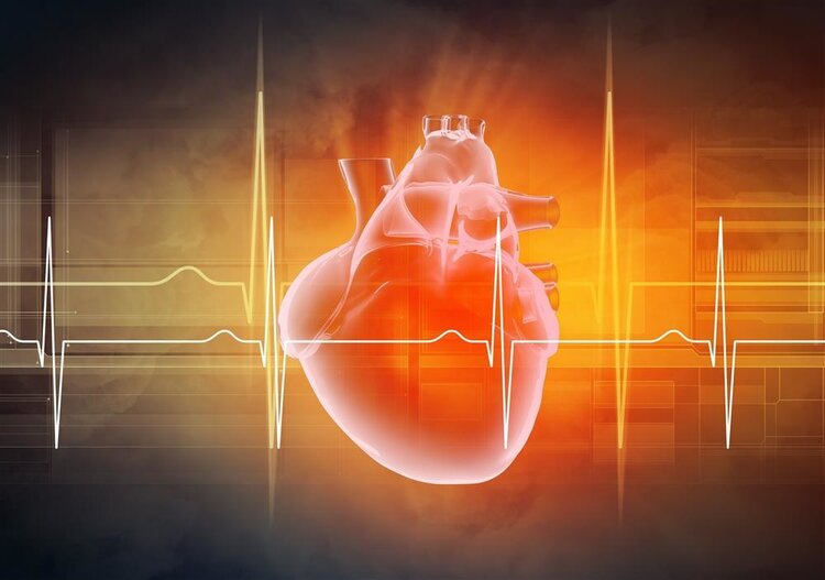 中国“人工心脏”成功上市，或救治千万人！与真实心脏相比如何？