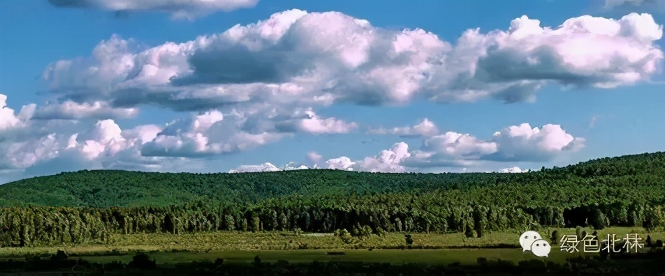 北京发展“最快”的大学之一！建校于寺庙，2个学科全国第一！