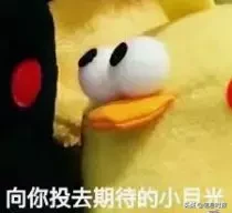 投入100亿，广州交通大学选址黄埔！校名却让网友吵翻……