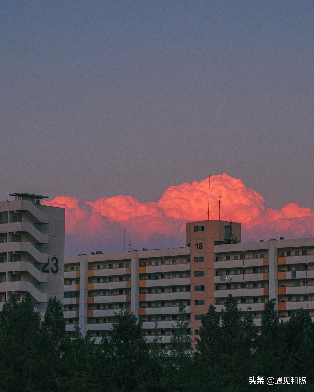 女人这样对你，多半就是被你征服了，要懂得珍惜
