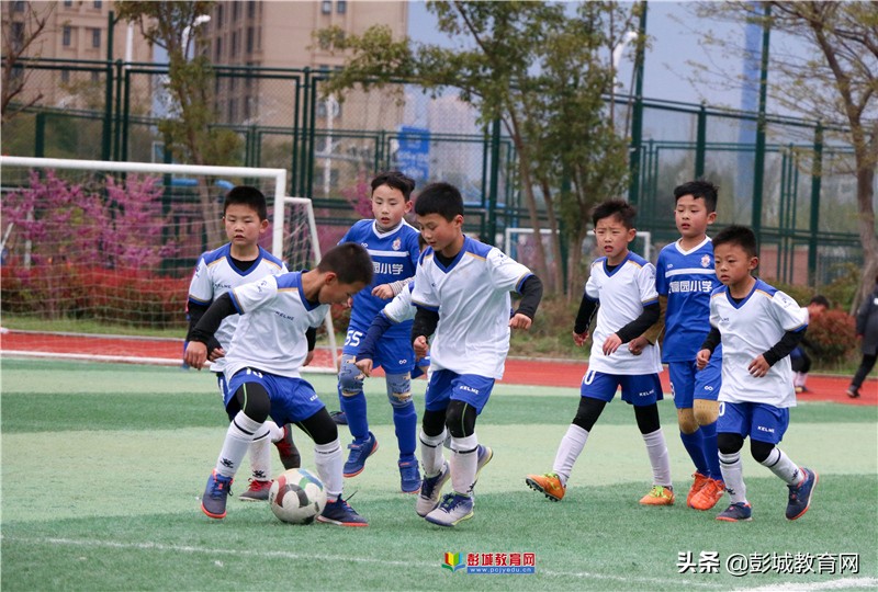 2021年云龙区“区长杯”校园足球联赛圆满收官