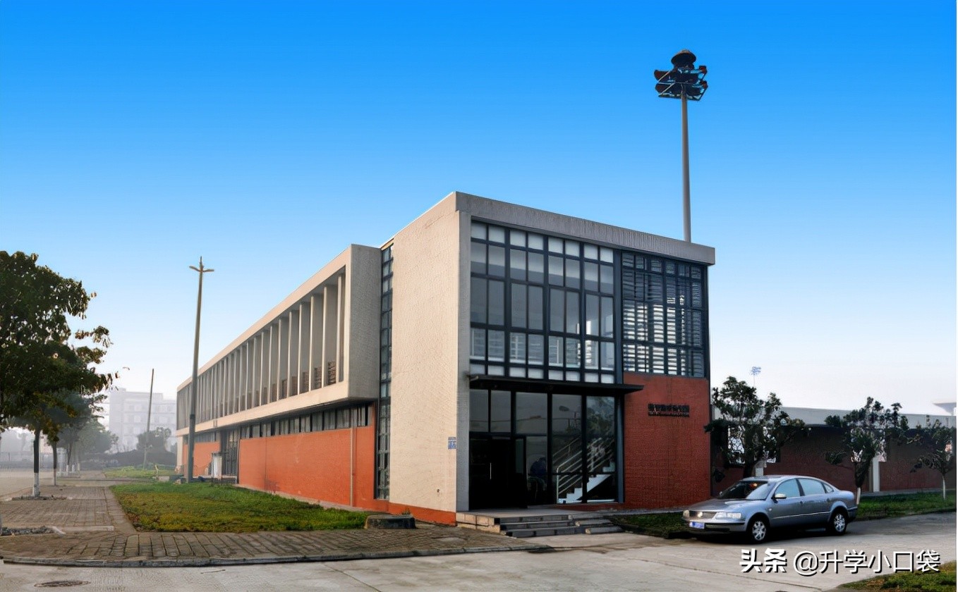 西南财经大学国内升学情况：281人升学本校，53人升学人大