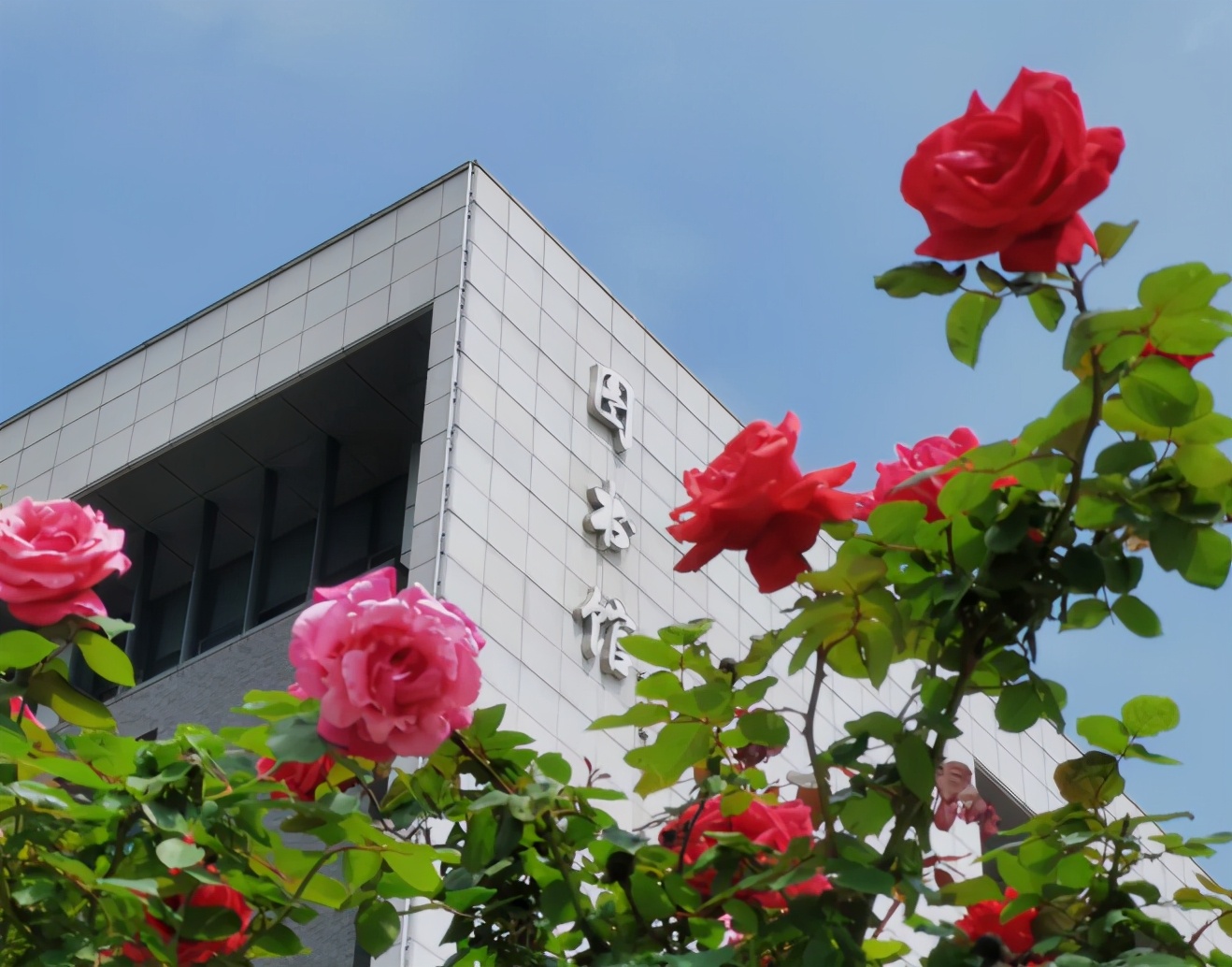 这类大学全国仅3所！一所还是“国字号”，创下多项“中国第一”！