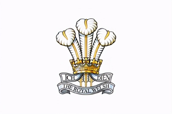 区别看待：英国陆军没有皇家封号，所属部队的皇家封号一抓一大把