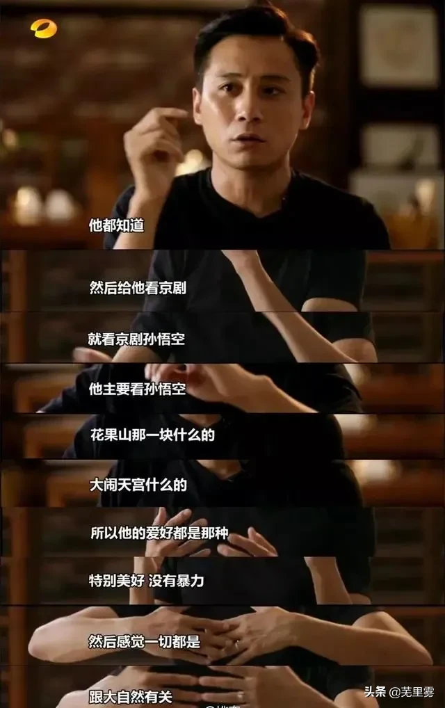 刘烨儿子大喊我是中国人：西游记十级学者刘诺一养成记