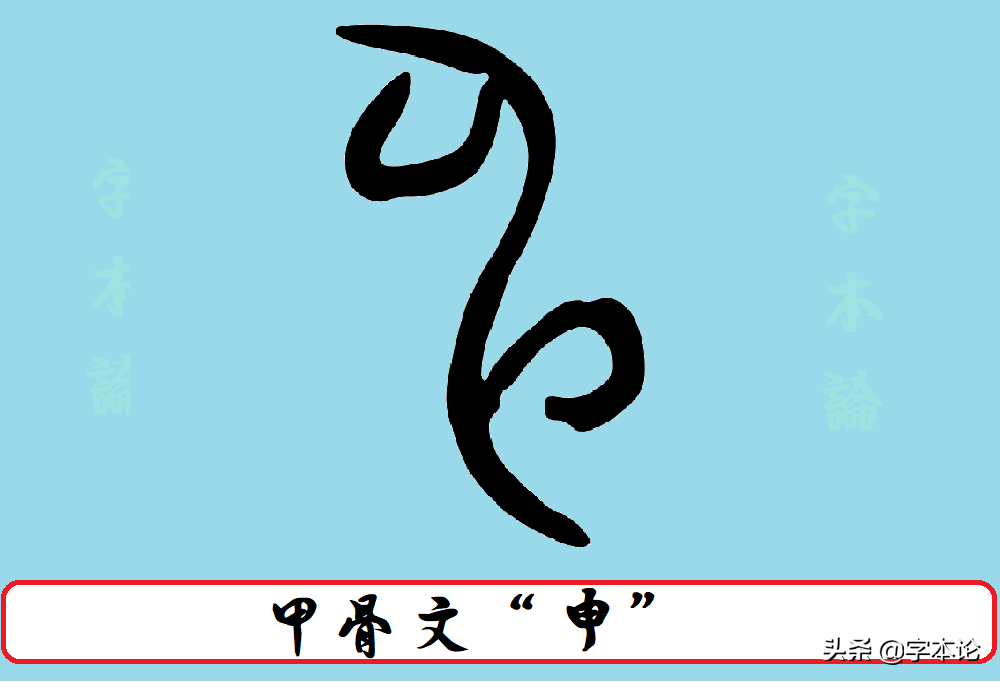申怎么读（）