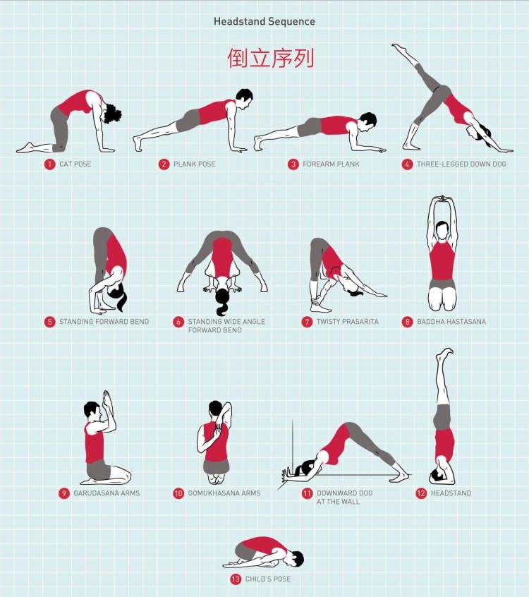 怎么倒立图片分解(练瑜伽头倒立) - 赤虎壹号