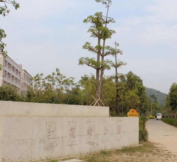 紅花嶺公園是龍崗革命傳統教育基地,園內有革命戰爭時期的