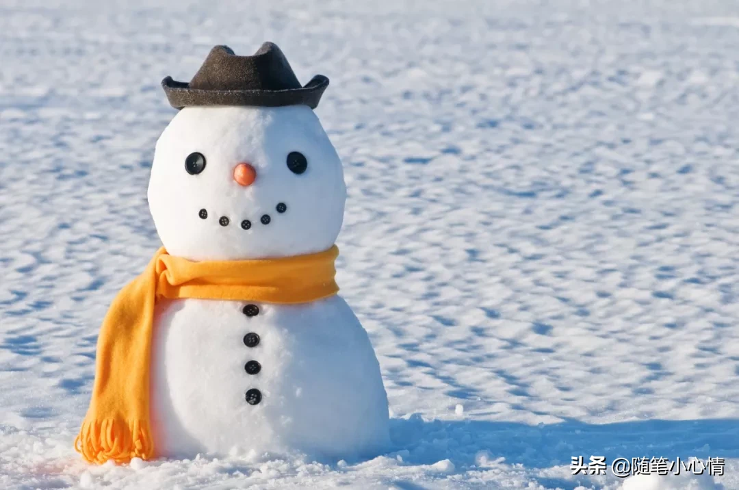 70句冬天下雪的优美段落，给你的作文加分