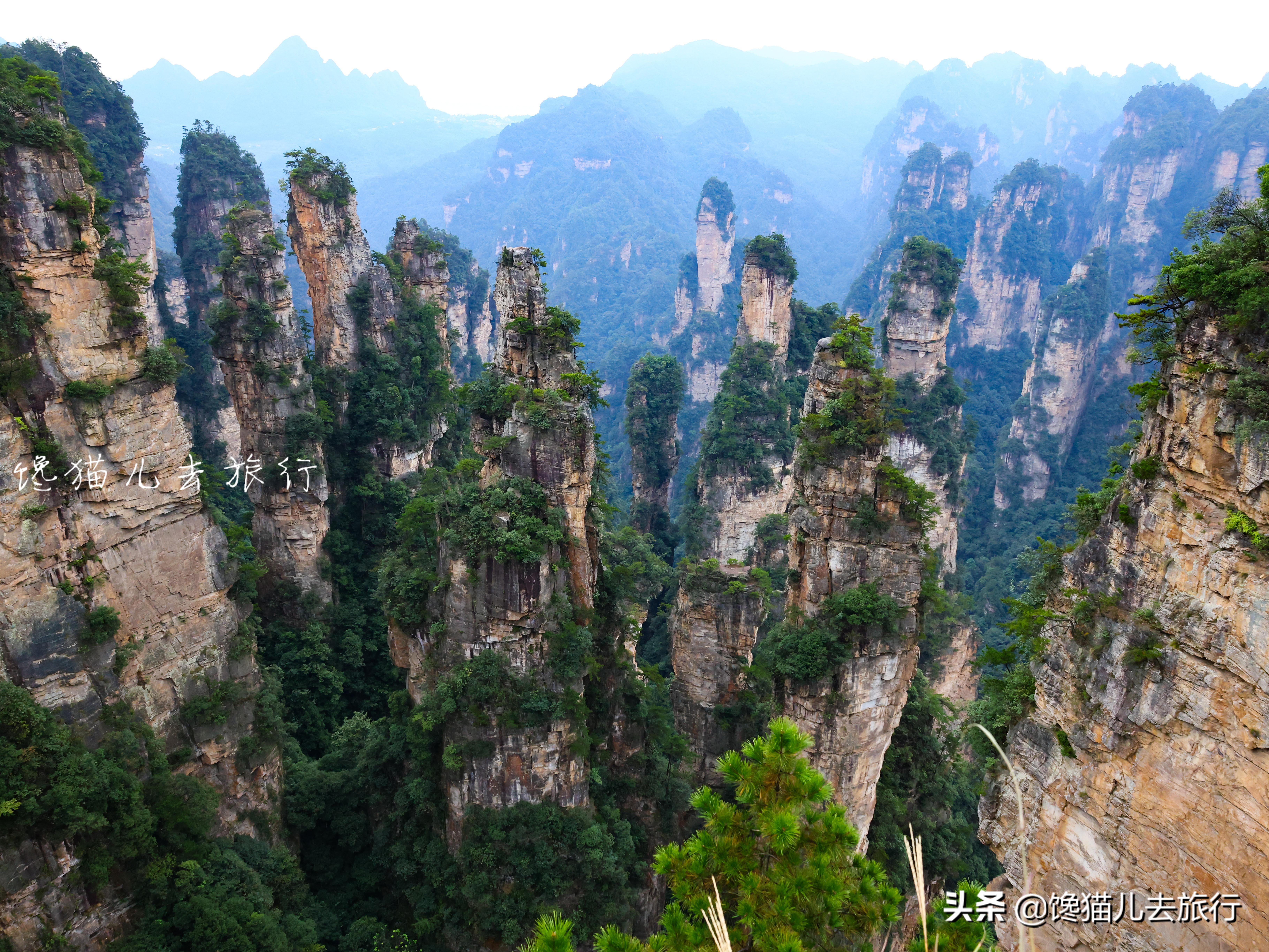 贵州早就该成为热门旅游地了，但确实不适合旅行团，更适合自由行