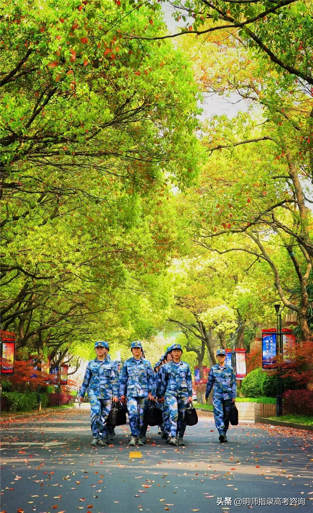 五所海军招生院校揭秘！想当海军军官的高考生看过来