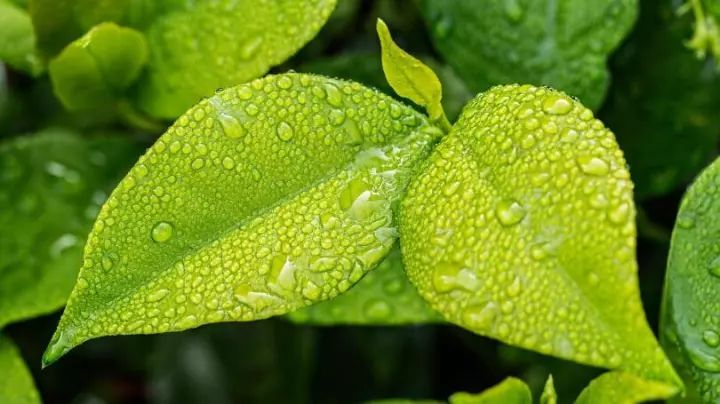 听说有个5合一懒人面霜，一瓶替代水乳霜精华面膜...