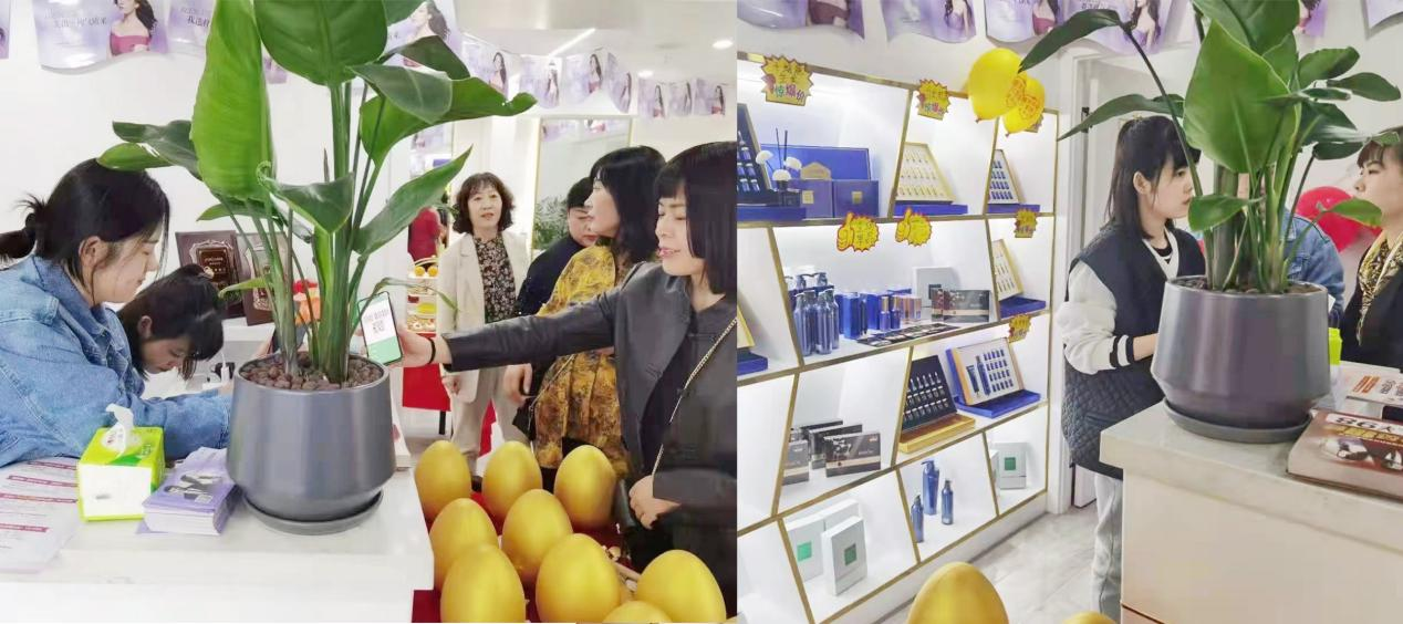 百莲凯甘肃兰州加盟店盛大开业，掀高科技美容养发风暴
