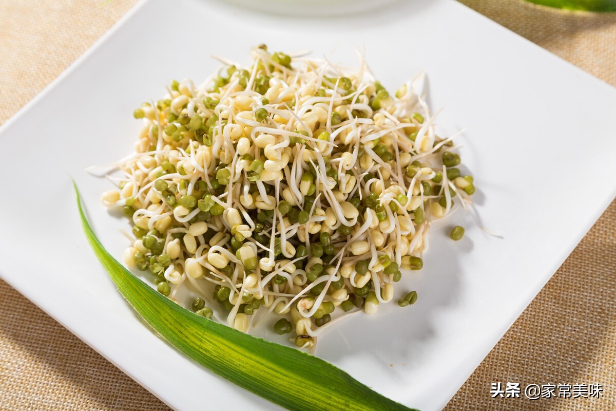 一样是豆芽,黄豆芽和绿豆芽有啥区别?专业回答在这,弄明白再买