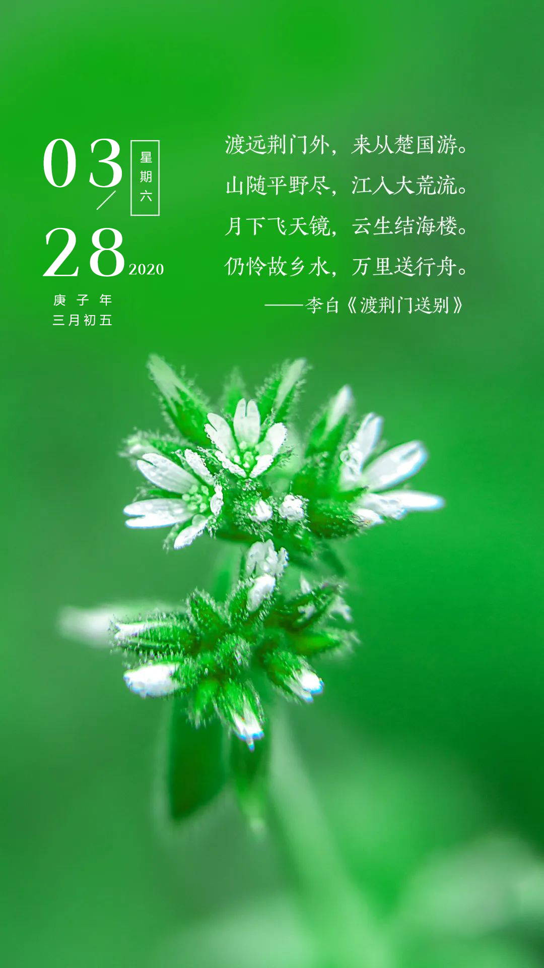 正能量早安心语周末图片日签：对未来真正的慷慨，是把一切献给现在