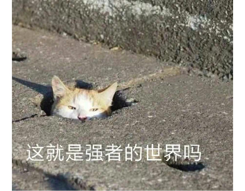 家中有娃的注意了！再也不用担心孩子没学上了