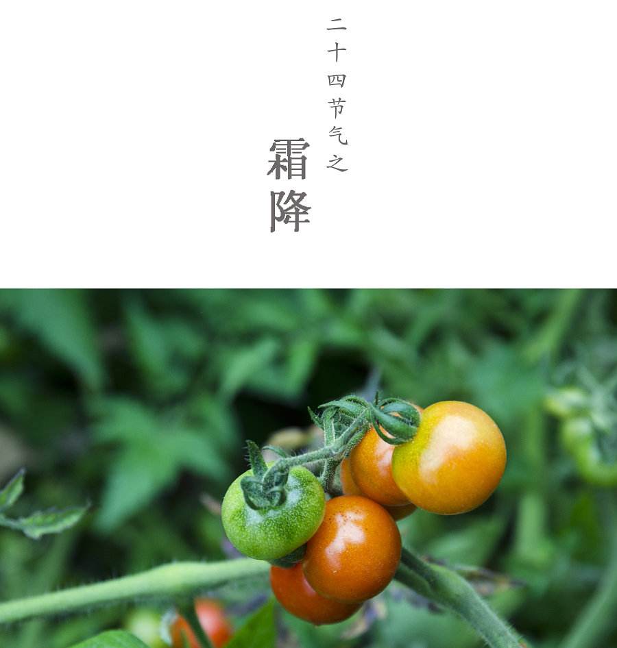 随笔诗两首｜今日霜降