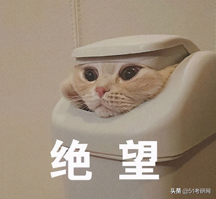 今年考研“卷王”专业！太卷了，复试线400+，高分调剂没机会