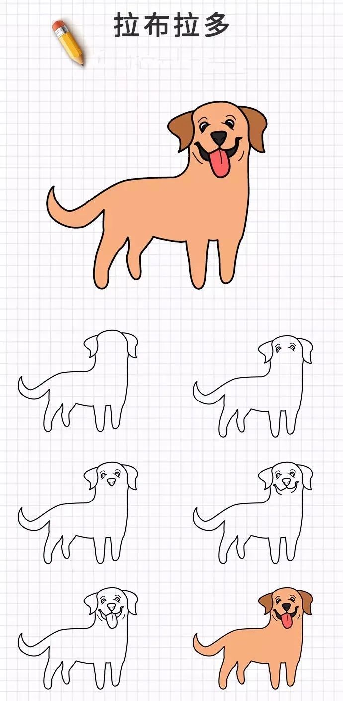 动物简笔画狗 简单图片