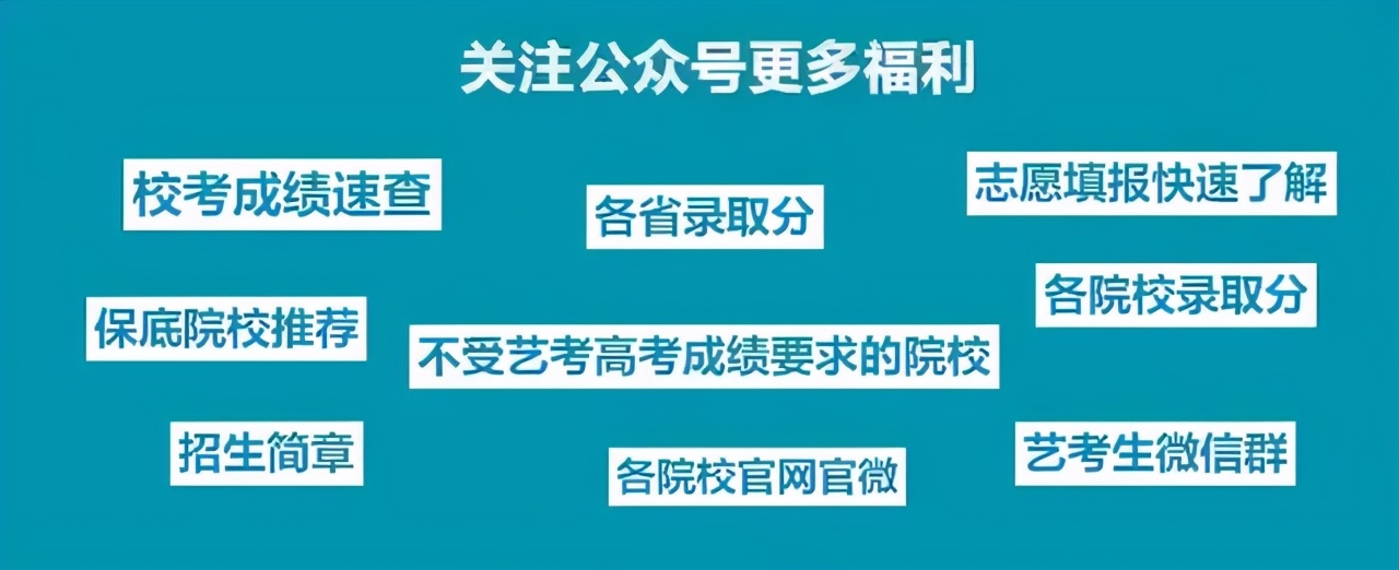 2021不看校考承认统考的985211、艺术名校！附招生专业及录取方式