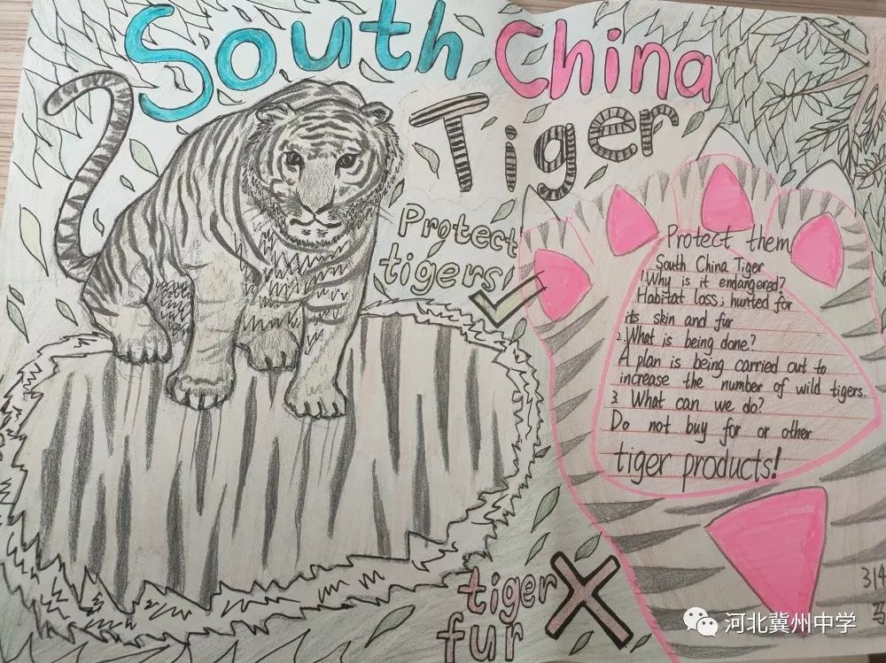 六年级英语俱乐部海报（高一英语组举办创意海报设计活动）