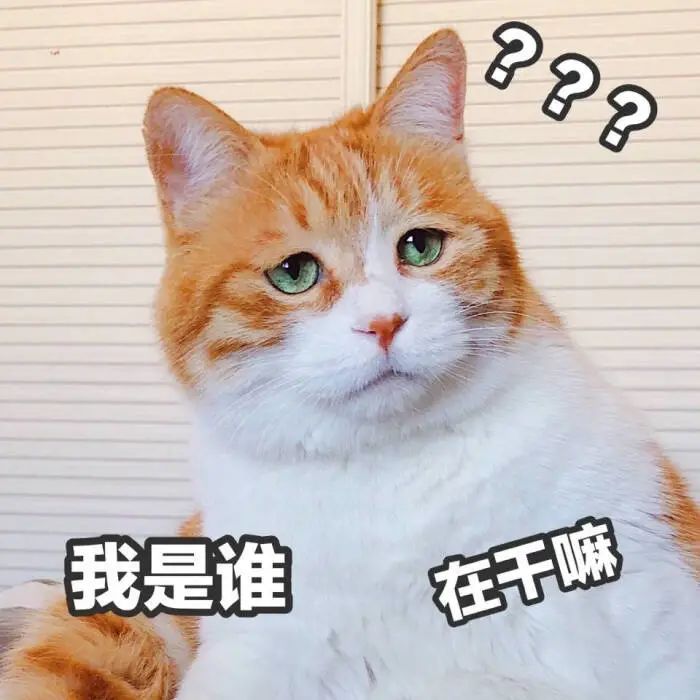 “YoYo怎么读？别再用Coco当英文名了！”