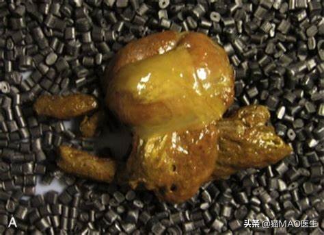 猫咪腹泻的9大原因，通常简单治疗可以康复，但特殊病因需要排查