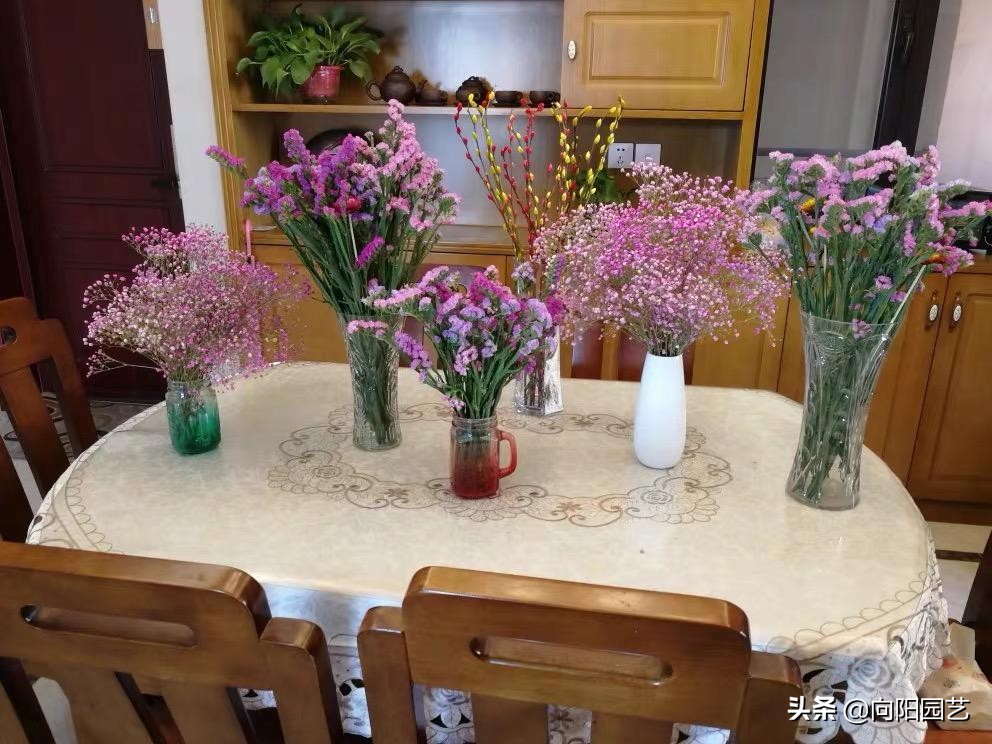 腊梅，银柳做插花，花友都喜欢，水瓶加点糖，“保鲜”60天