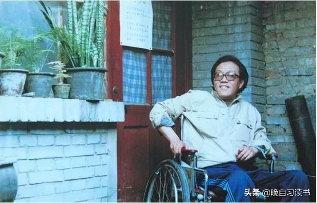 《合欢树》：史铁生用人生书写的佳作，谁的成功不是为了母亲？