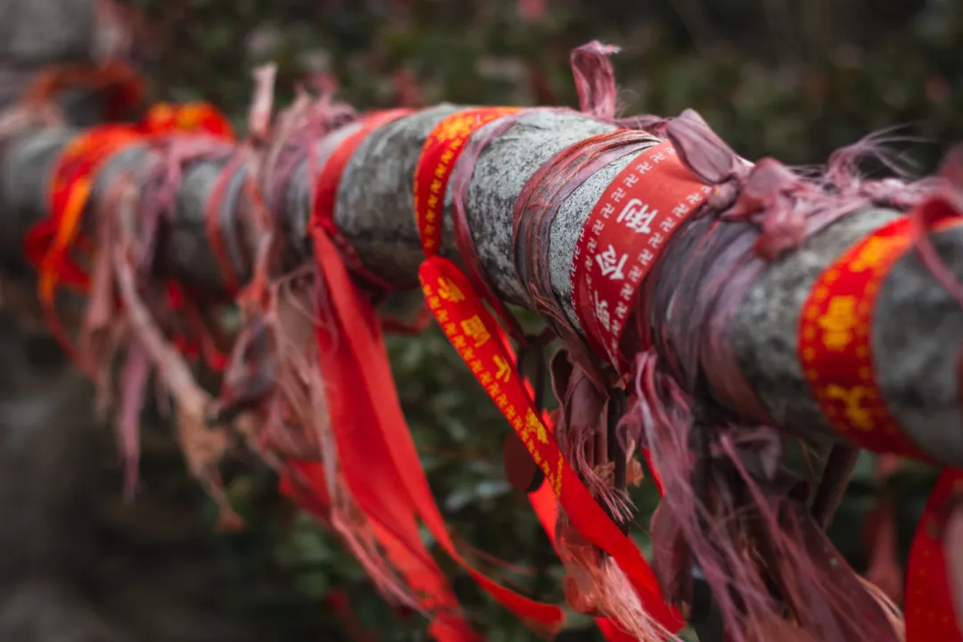 【闺蜜之旅】心驰大明山 让我们一起手拉手去撒欢~