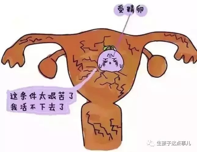 解读hcg和孕酮(帮大家走出误区)