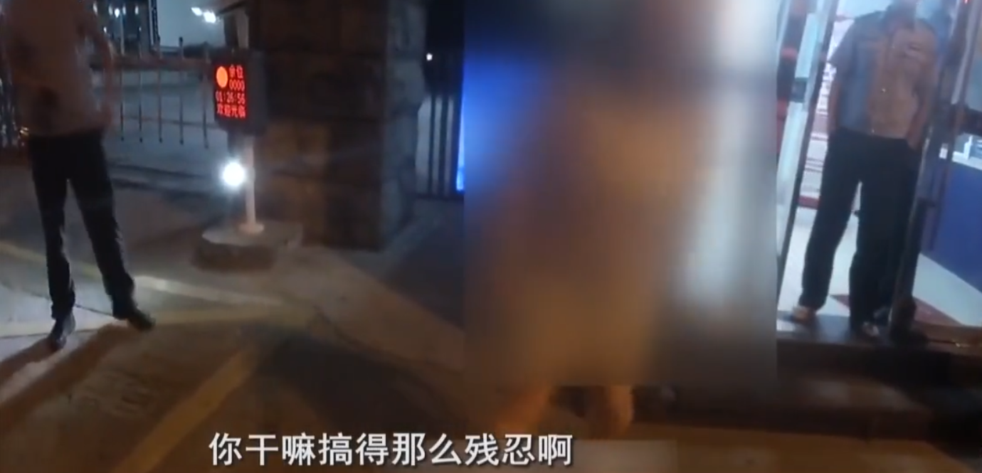 “你干嘛搞得那么残忍啊！”浙江一对情侣吵架，开车去派出所评理，结果一个被罚、一个被拘，网友：一对活宝