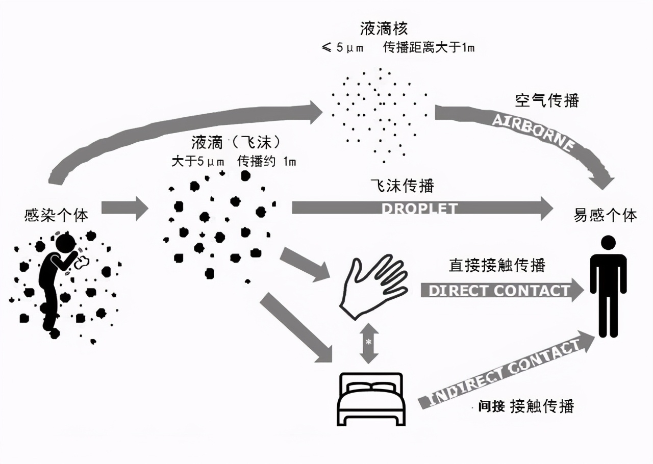 鼻屎是怎麼形成的 鼻屎的細菌放大圖-小蚊子百科網