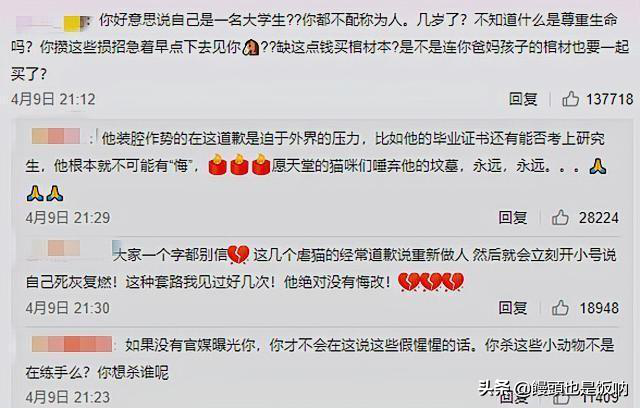 山东理工大学学生范源庆虐杀流浪猫事件事情始末