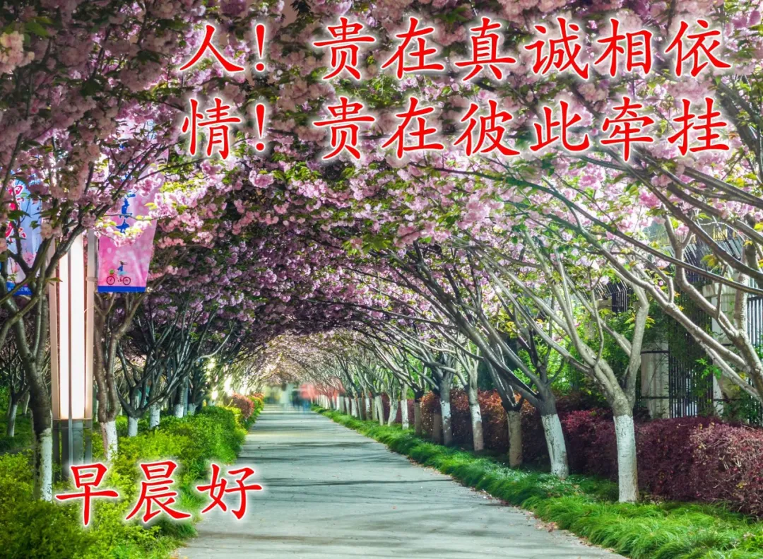 问好图片(最新的祝福图片带字，最真诚的早安问候美图)