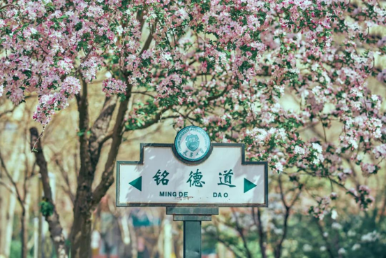 权威！天津大学往年录取分数线汇总发布，附今年招生计划！