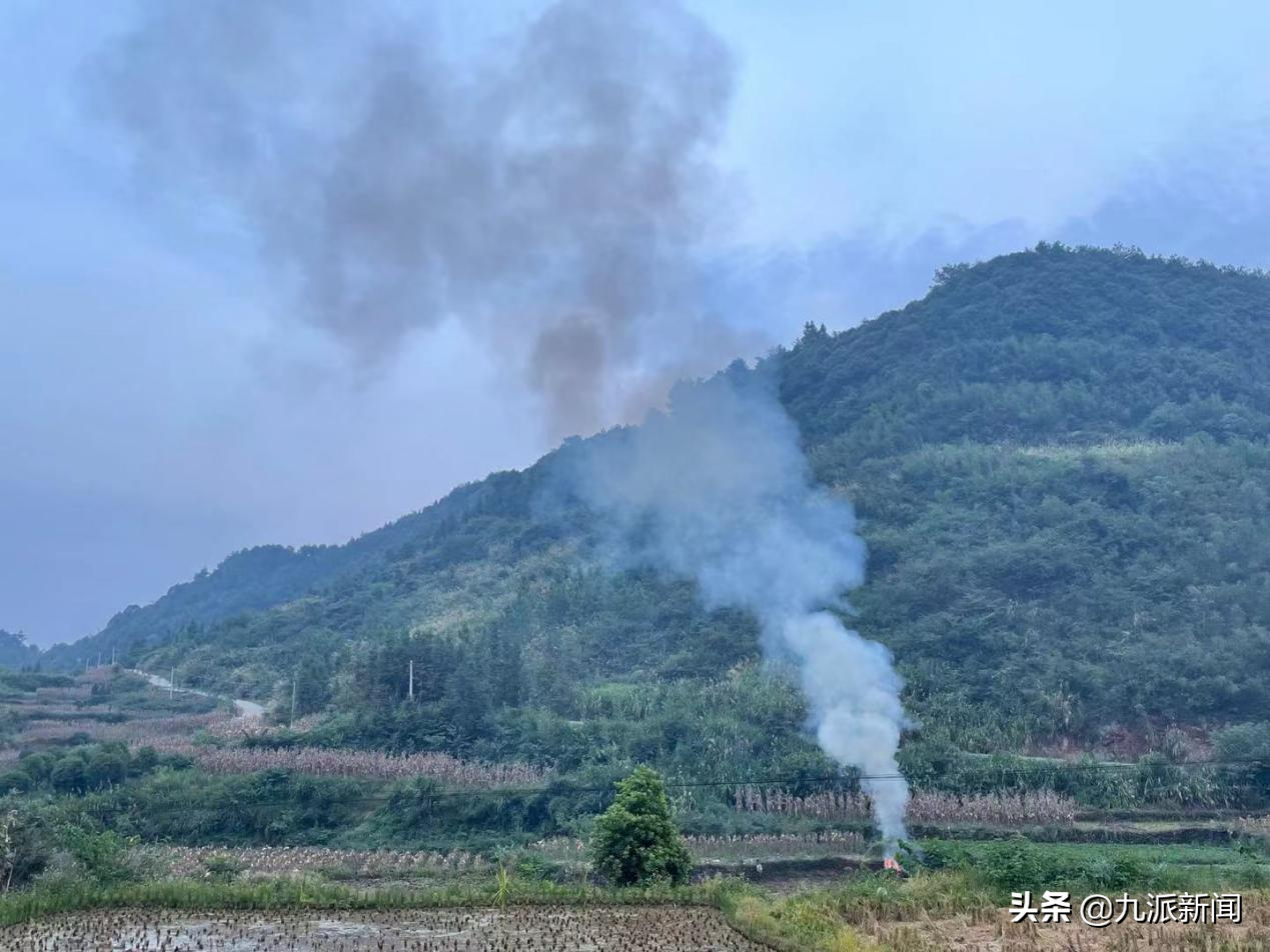 失去弟弟后，姐姐的29年：曾以打工为名接近并确定嫌疑人身份