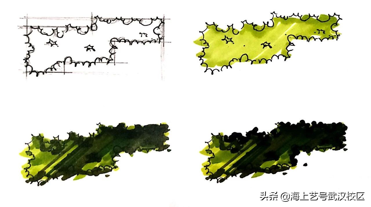 干货分享|植物的平面图画法