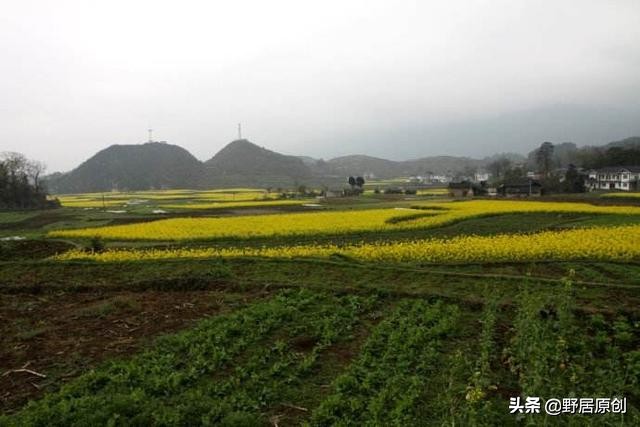 原创抒情散文《又到一年清明时》