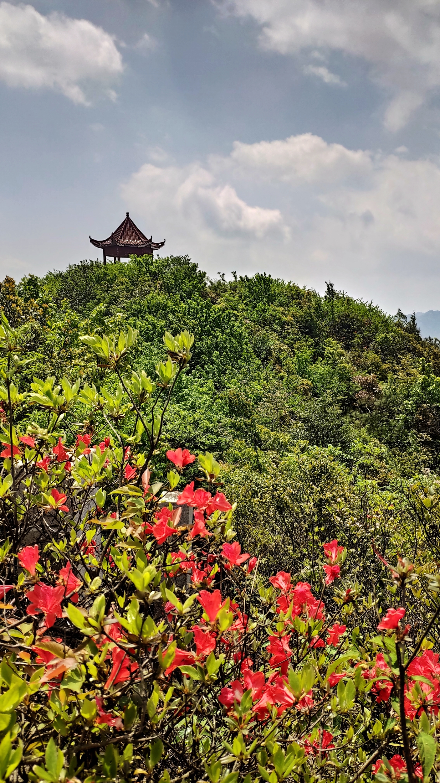 兰溪自驾游哪里好(离城市最近的国家森林公园！崇义阳明山是一个自驾游的好地方)