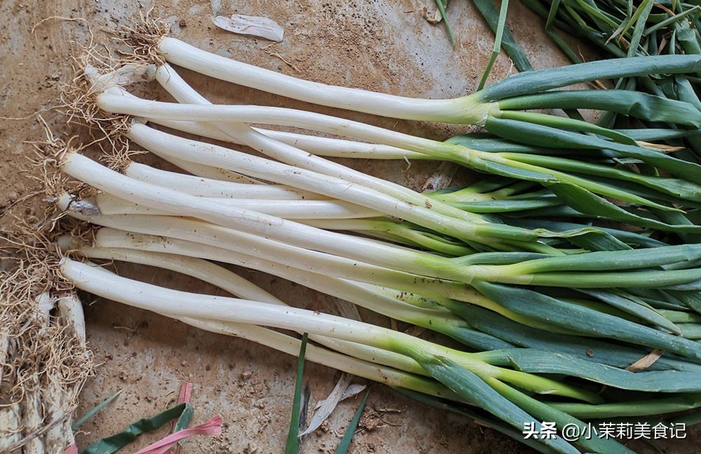 全国哪的大葱最好吃，经过评比，这8个地方比较出名，有你家乡没