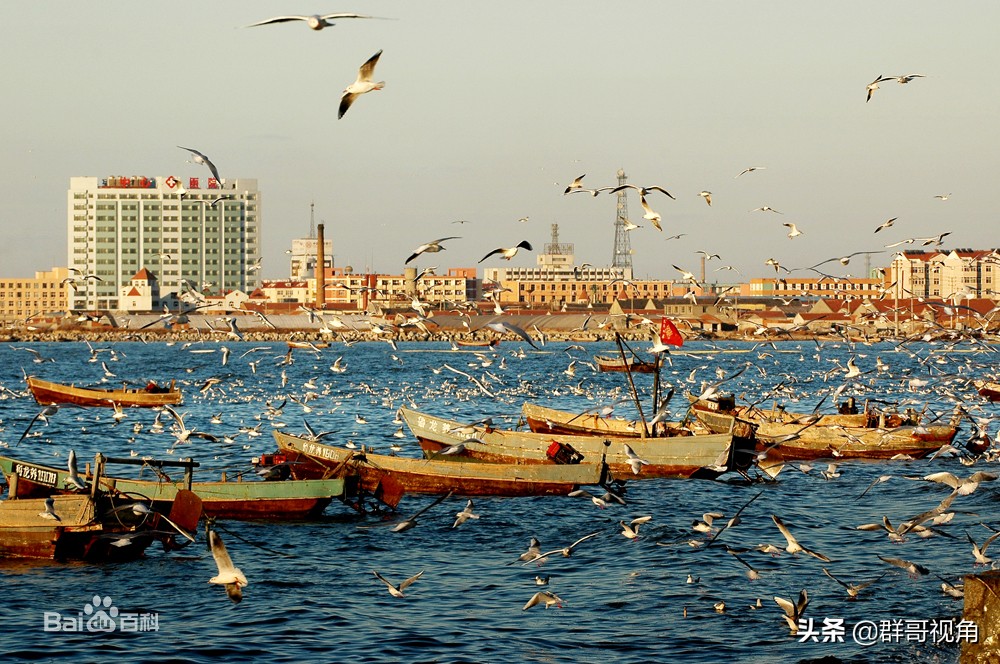 建有本科高校的县（山东篇）