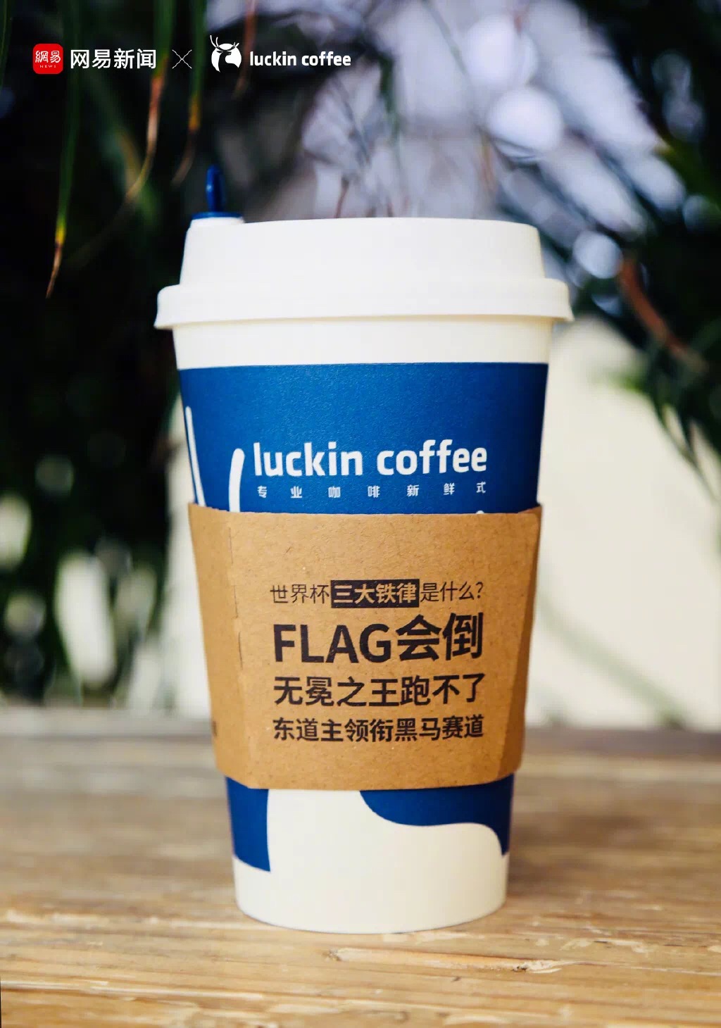 世界杯冰岛茶餐厅文案(小蓝杯的哪句文案，戳中了你的心？)